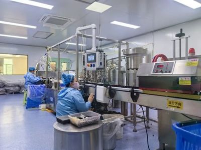 通化 人參產業“新新”向榮，西洋參成新亮點